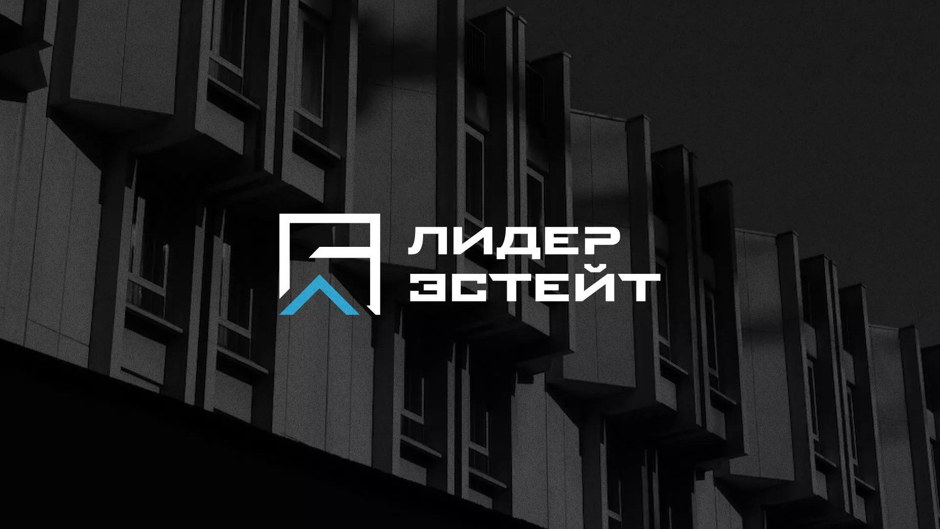 Разработка логотипа агентства недвижимости «Лидер Эстейт» в Челябинске